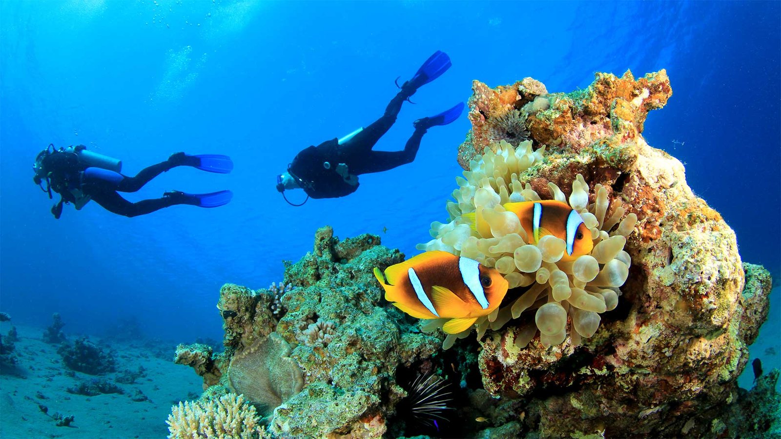 gili-islands-diving-gili-islands-authentic-indonesia