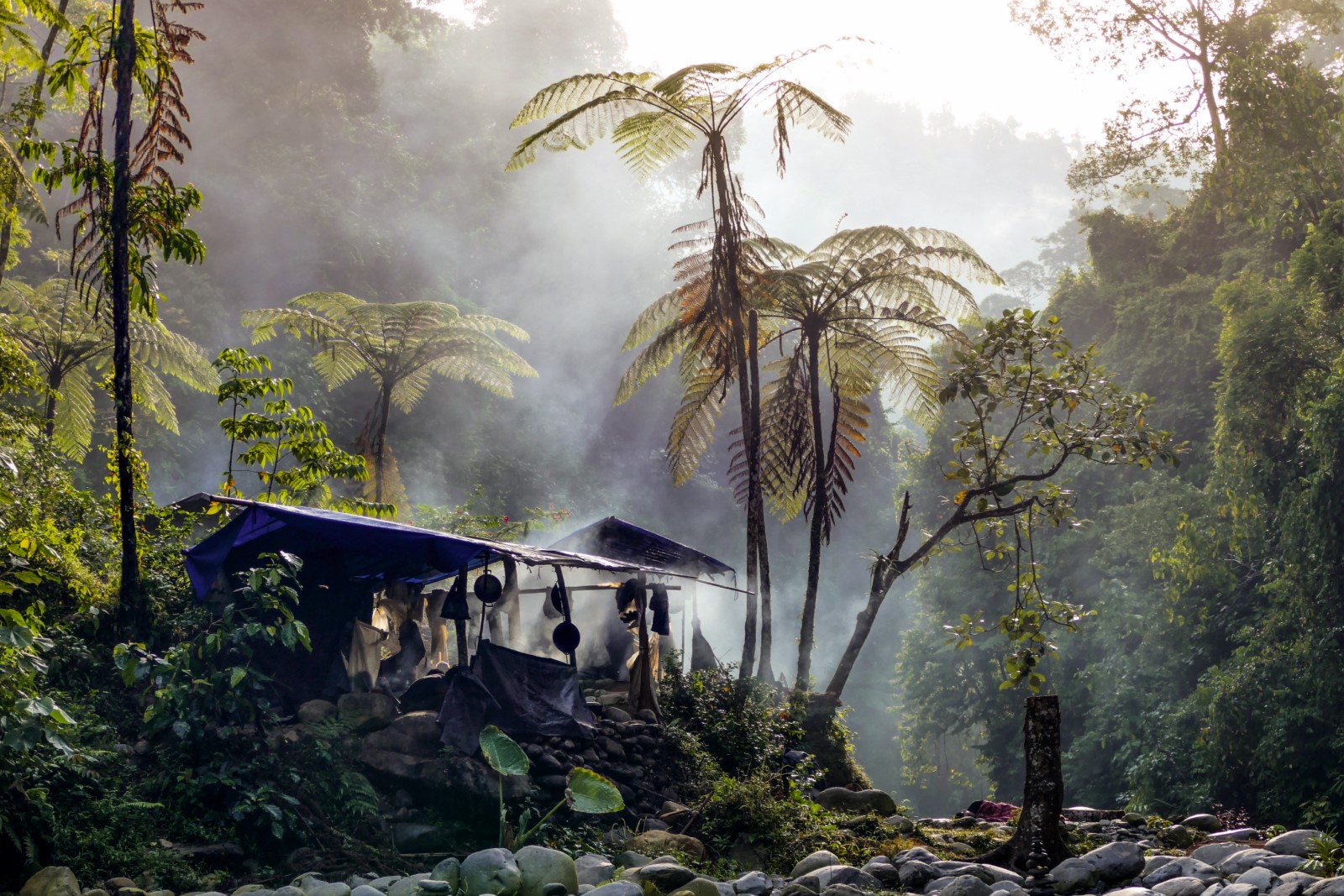 Rainforest Camp