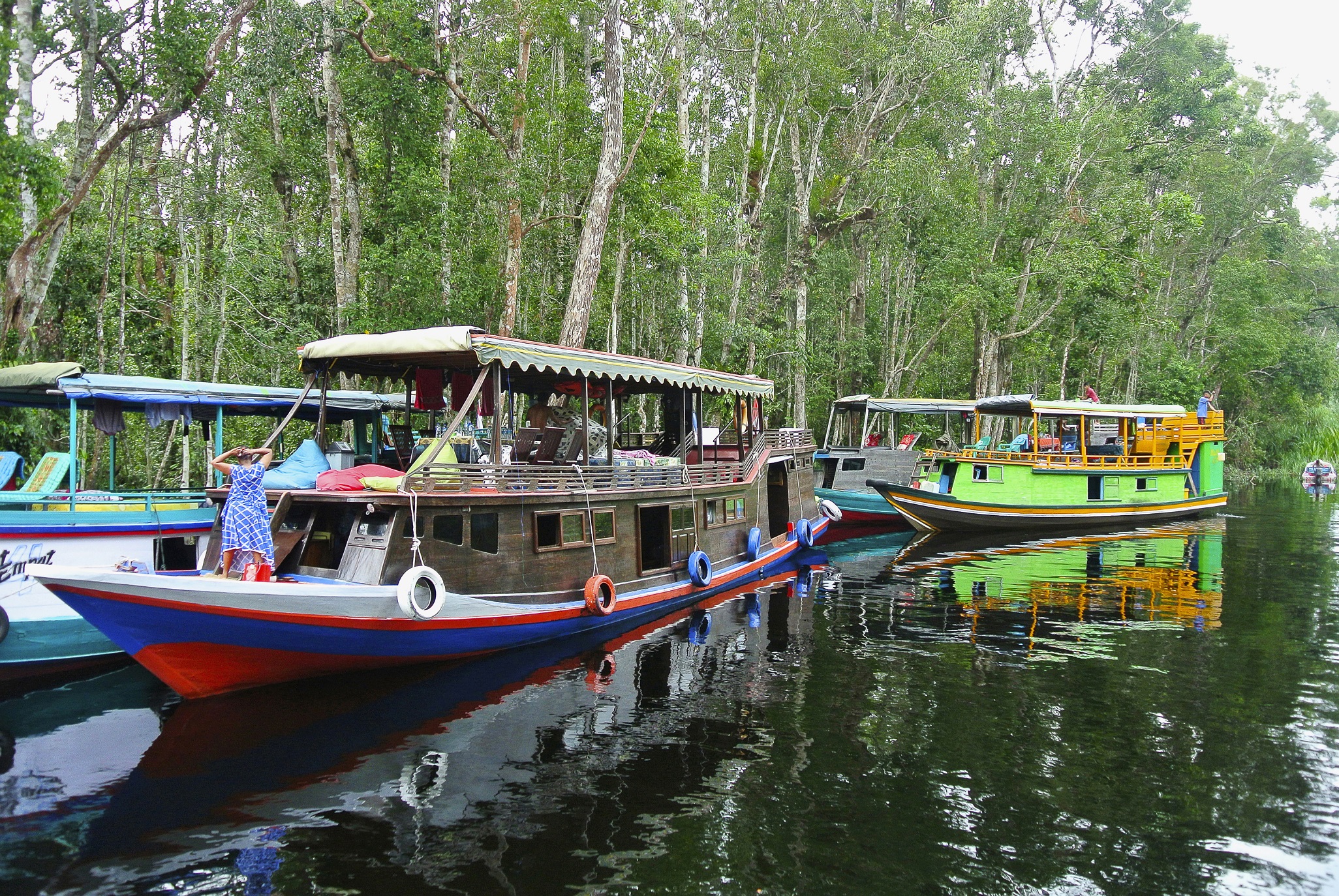 borneo river cruises