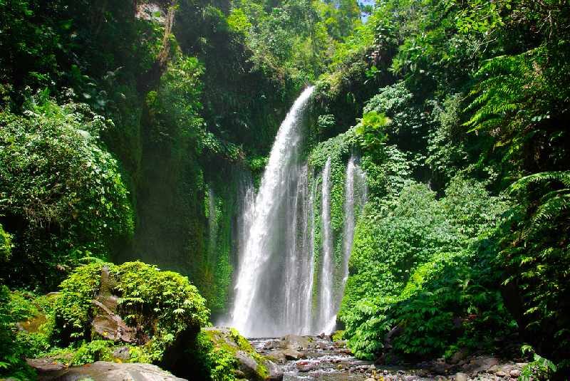Trek to Tiu Kelep Waterfall