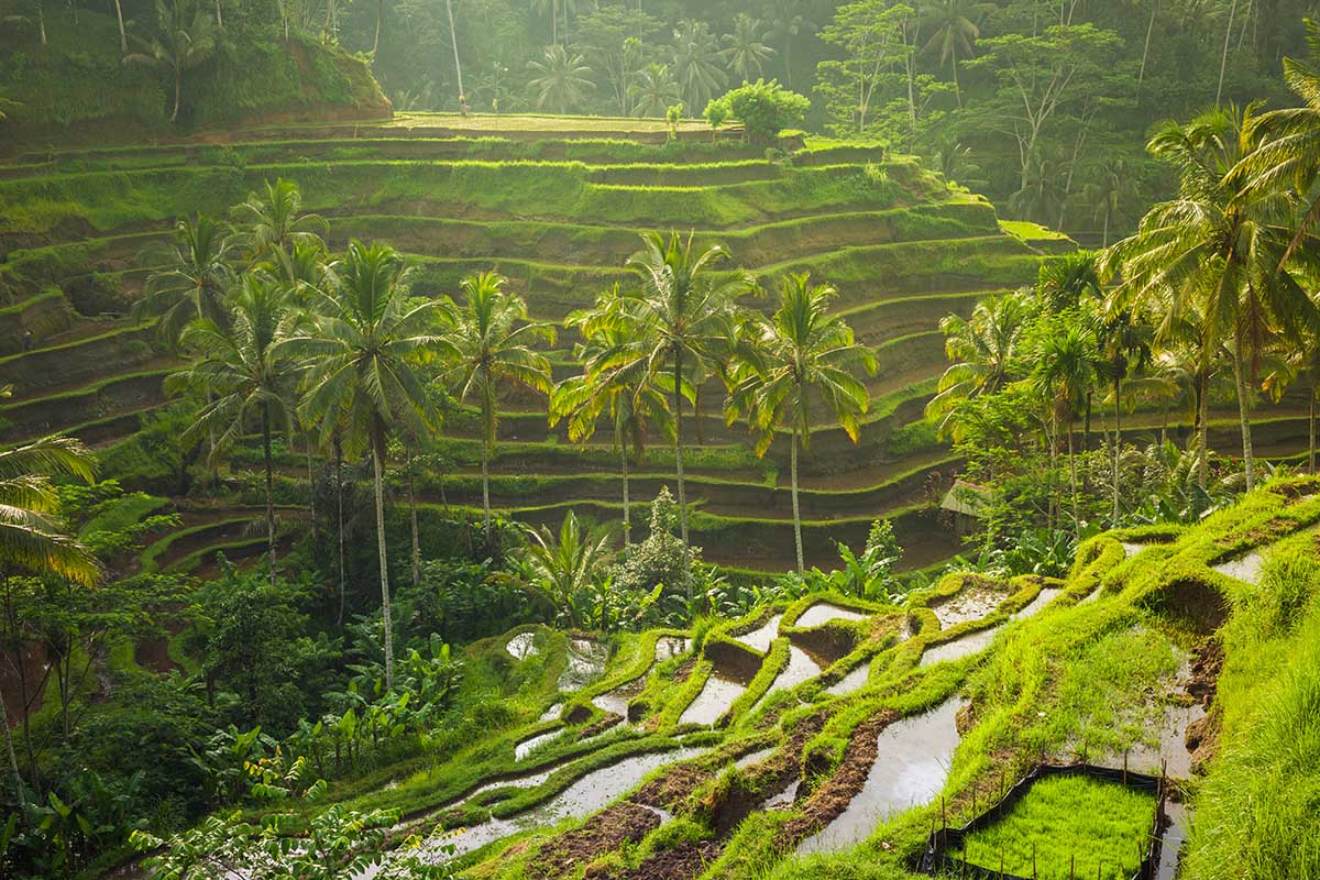 TRAVELING TO INDONESIA BLOG
