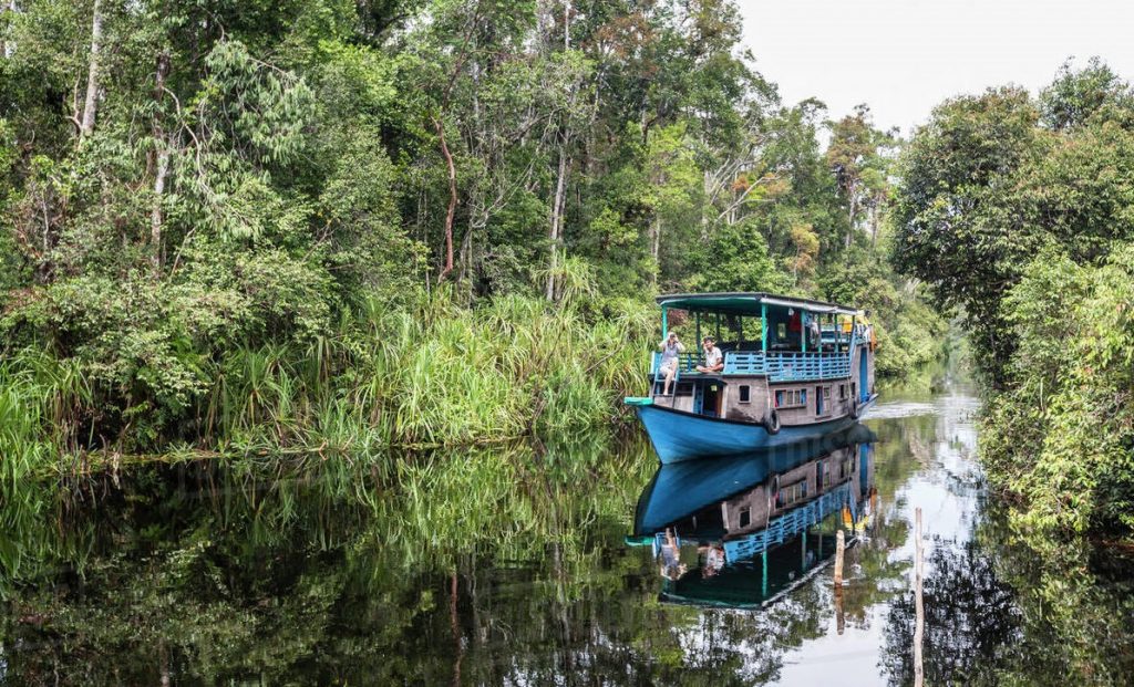 8 Best Places to See Wildlife in Indonesia | Authentic Indonesia Blog