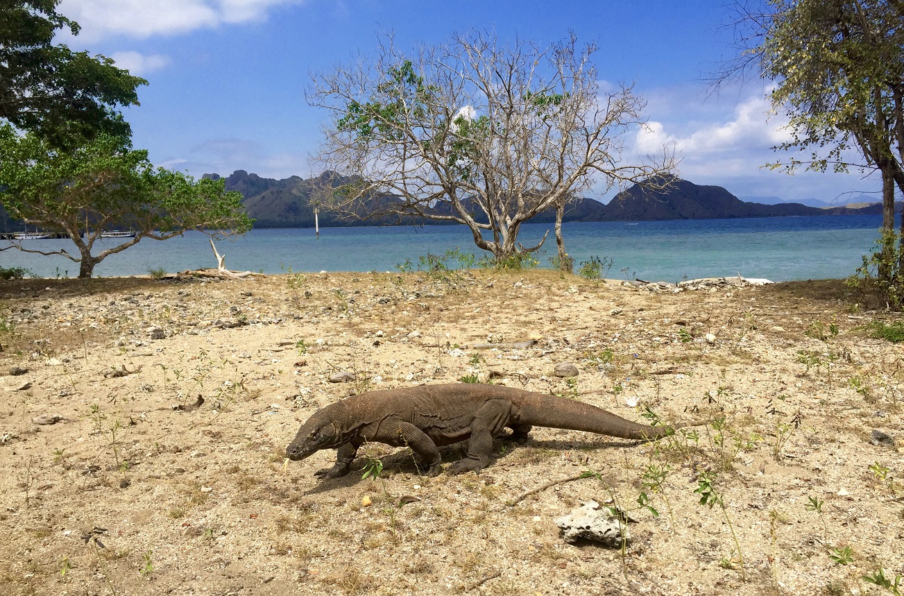 País donde está el parque nacional de komodo