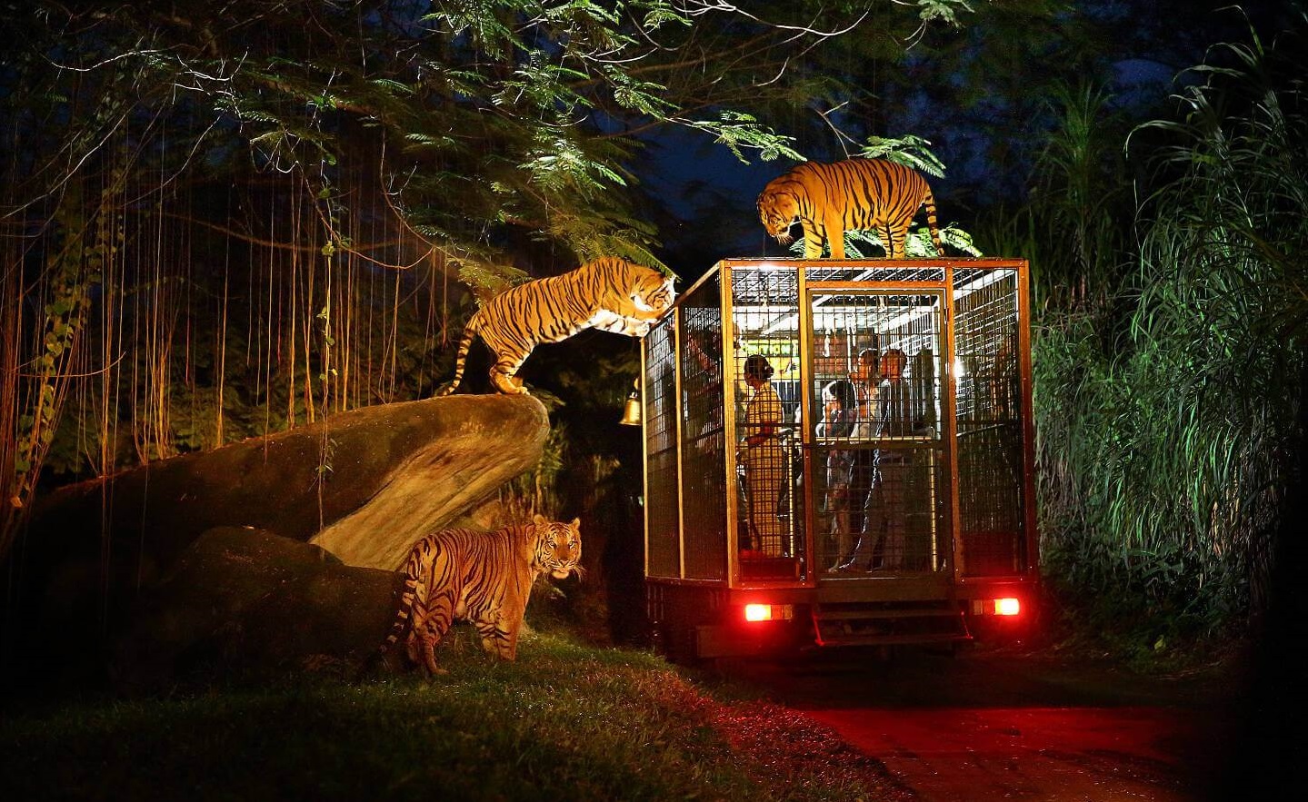 The 5 Best Zoos in Bali Authentic Indonesia Blog