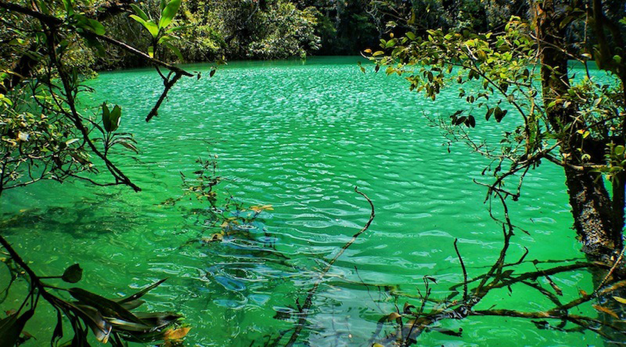 hidden charm of Maima Blue Lake in wamena