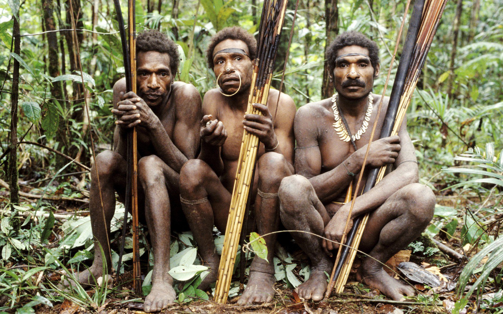 Facts About Korowai Tribe in Southern Papua | Authentic Indonesia Blog