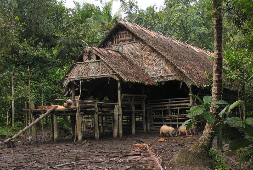 mentawai uma traditional house