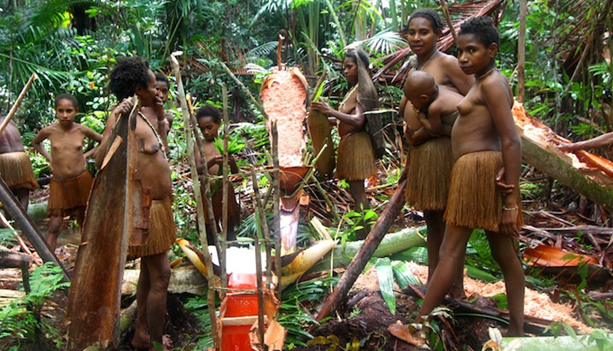 Facts About Korowai Tribe In Southern Papua Authentic Indonesia Blog 6443