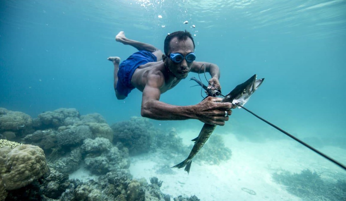 bajau tribe is good at free diving