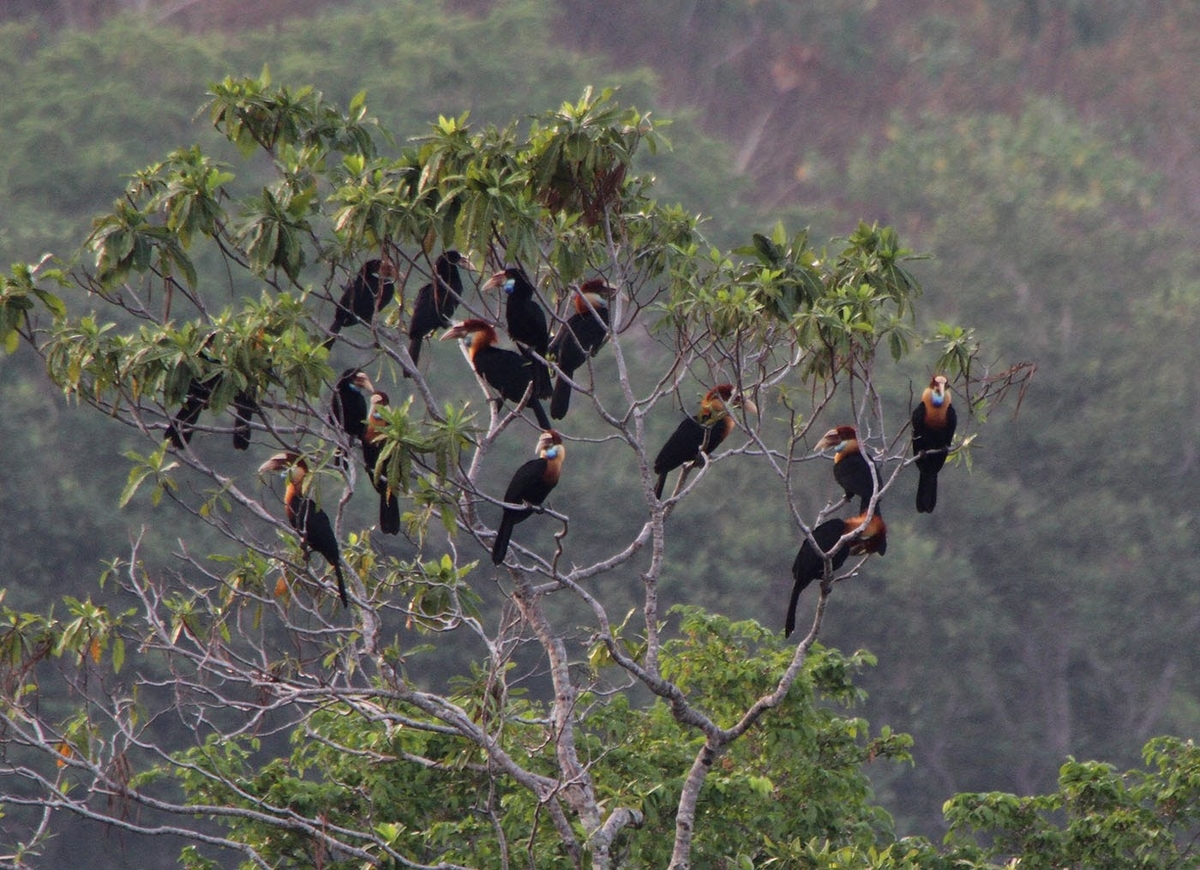 matalawa national park has around 215 species of birds recorded