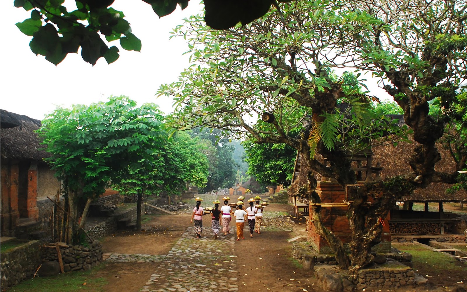 the ancient village of tenganan in bali