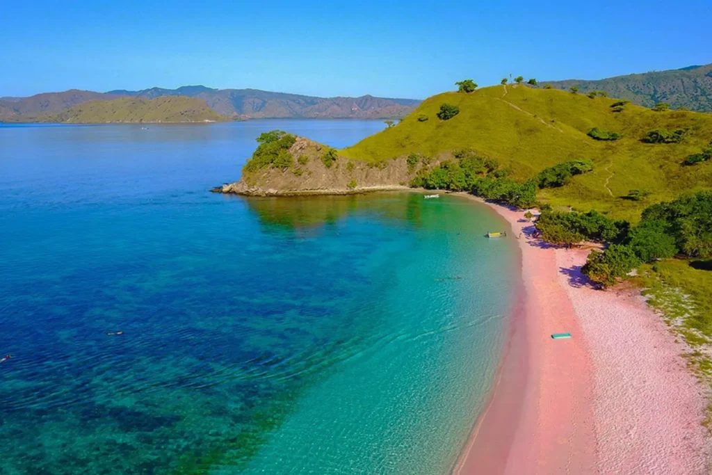 beautiful diving location in flores pink beach